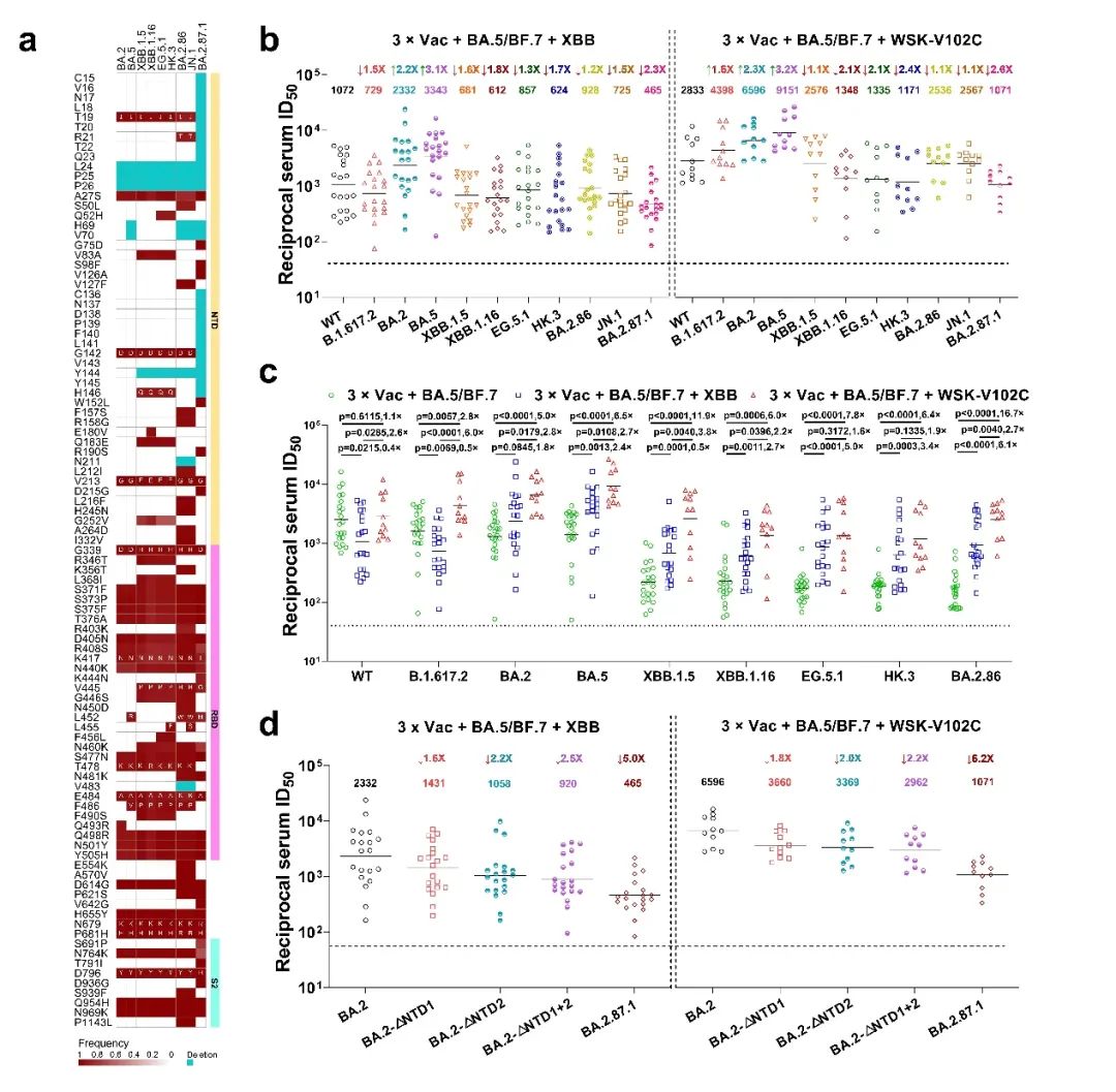 A/B测试成功案例解析与启示